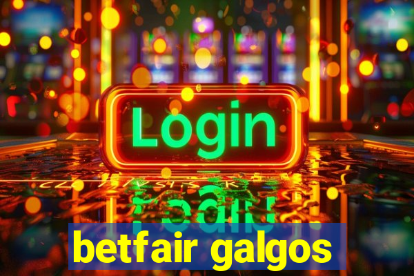 betfair galgos